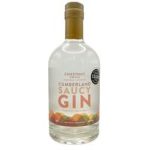 A clear glass bottle of Chestnut House Cumberland Saucy Gin featuring an orange lid and a great taste award sticker.