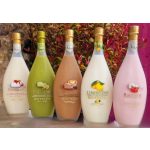 Bottega Liqueurs